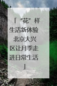 “花”样生活新体验 北京大兴区让月季走进日常生活