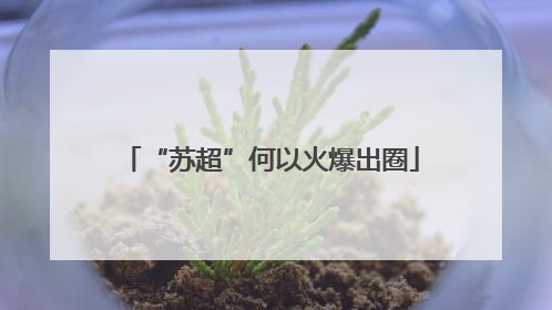 “苏超”何以火爆出圈