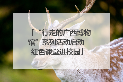 “行走的广西博物馆”系列活动启动 红色课堂进校园