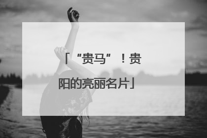 “贵马”！贵阳的亮丽名片