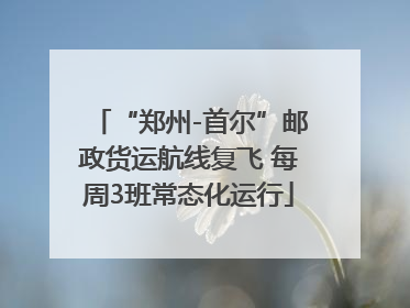 “郑州-首尔”邮政货运航线复飞 每周3班常态化运行