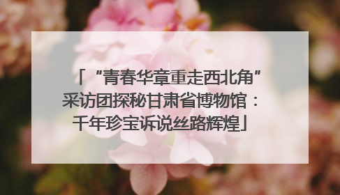 “青春华章重走西北角”采访团探秘甘肃省博物馆：千年珍宝诉说丝路辉煌
