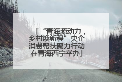 “青海源动力，乡村焕新程”央企消费帮扶聚力行动在青海西宁举办