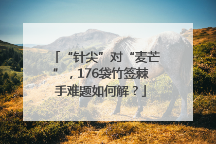 “针尖”对“麦芒”，176袋竹签棘手难题如何解？