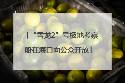 “雪龙2”号极地考察船在海口向公众开放