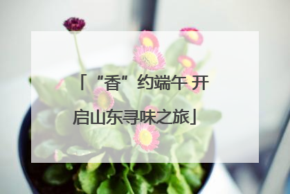 “香”约端午 开启山东寻味之旅