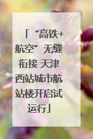 “高铁+航空”无缝衔接 天津西站城市航站楼开启试运行