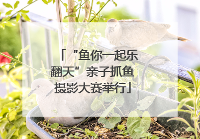 “鱼你一起乐翻天”亲子抓鱼摄影大赛举行