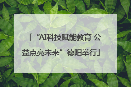 “AI科技赋能教育 公益点亮未来”德阳举行