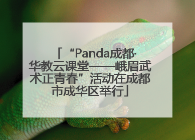 “Panda成都·华教云课堂——峨眉武术正青春”活动在成都市成华区举行