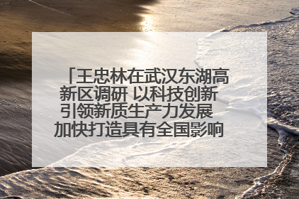 王忠林在武汉东湖高新区调研 以科技创新引领新质生产力发展 加快打造具有全国影响力的科技创新高地