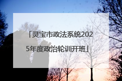 灵宝市政法系统2025年度政治轮训开班