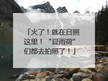 火了！就在日照这里！“夏雨荷”们都去拍照了！