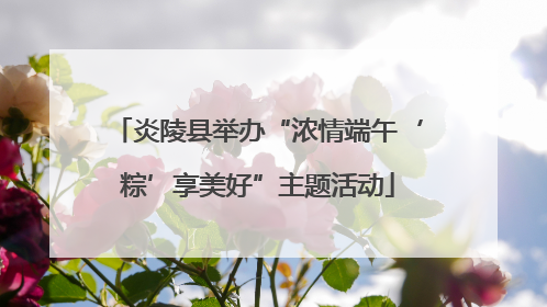 炎陵县举办“浓情端午‘粽’享美好”主题活动