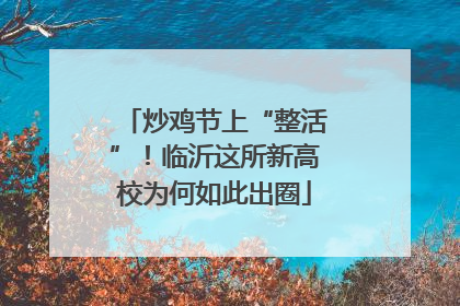 炒鸡节上“整活”！临沂这所新高校为何如此出圈