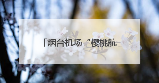 烟台机场“樱桃航班”运输量创新高