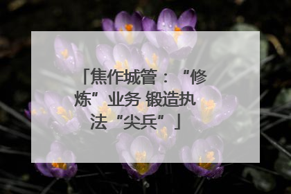 焦作城管：“修炼”业务 锻造执法“尖兵”