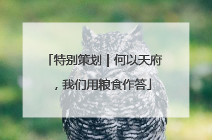 特别策划｜何以天府，我们用粮食作答