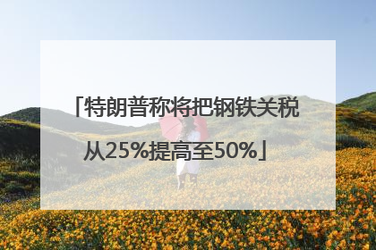 特朗普称将把钢铁关税从25%提高至50%