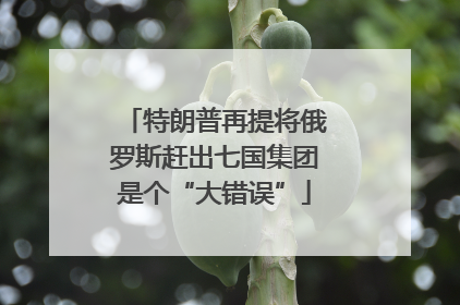 特朗普再提将俄罗斯赶出七国集团是个“大错误”