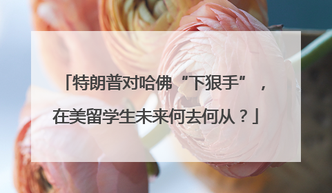 特朗普对哈佛“下狠手”，在美留学生未来何去何从？