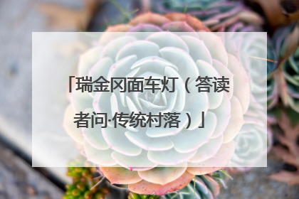 瑞金冈面车灯（答读者问·传统村落）