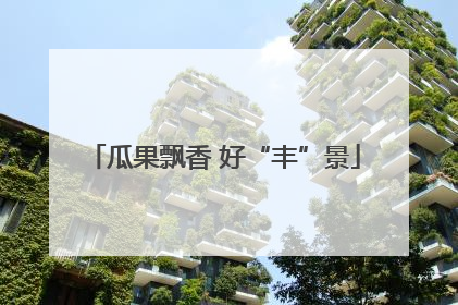 瓜果飘香 好“丰”景