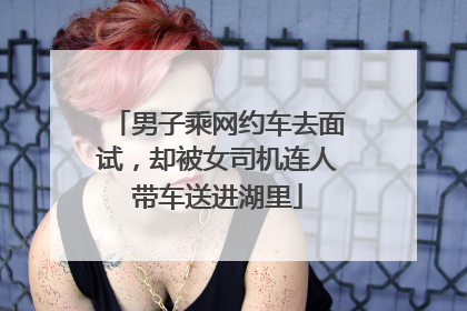男子乘网约车去面试，却被女司机连人带车送进湖里