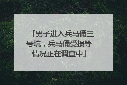 男子进入兵马俑三号坑，兵马俑受损等情况正在调查中