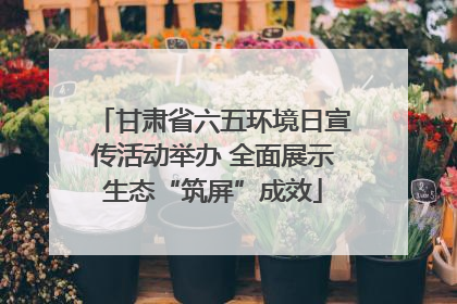 甘肃省六五环境日宣传活动举办 全面展示生态“筑屏”成效