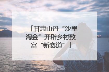 甘肃山丹“沙里淘金”开辟乡村致富“新赛道”
