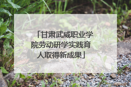 甘肃武威职业学院劳动研学实践育人取得新成果