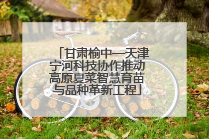 甘肃榆中—天津宁河科技协作推动高原夏菜智慧育苗与品种革新工程