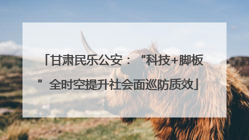 甘肃民乐公安：“科技+脚板”全时空提升社会面巡防质效