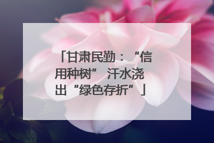 甘肃民勤：“信用种树” 汗水浇出“绿色存折”