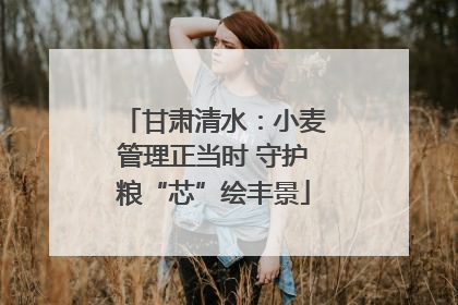 甘肃清水：小麦管理正当时 守护粮“芯”绘丰景