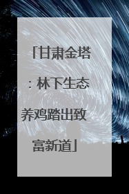 甘肃金塔：林下生态养鸡踏出致富新道