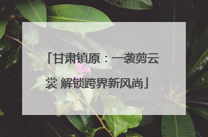甘肃镇原：一袭剪云裳 解锁跨界新风尚