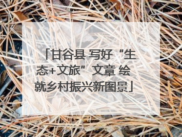 甘谷县 写好“生态+文旅”文章 绘就乡村振兴新图景