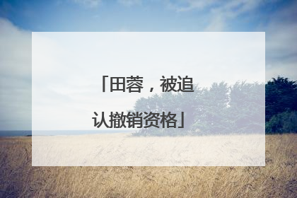 田蓉，被追认撤销资格