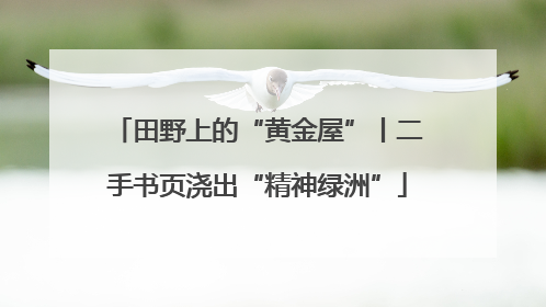田野上的“黄金屋”丨二手书页浇出“精神绿洲”