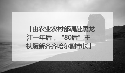 由农业农村部调赴黑龙江一年后，“80后”王杕履新齐齐哈尔副市长