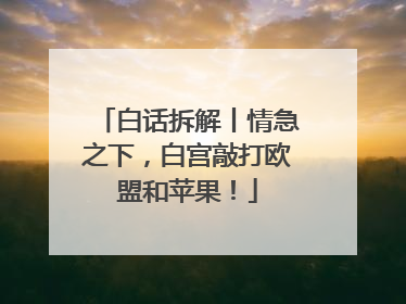 白话拆解丨情急之下，白宫敲打欧盟和苹果！