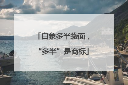 白象多半袋面，“多半”是商标
