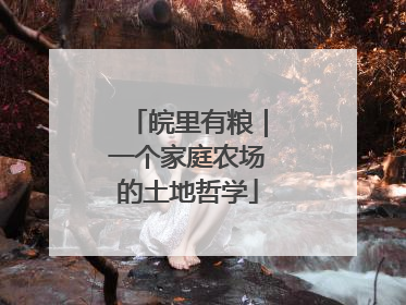 皖里有粮｜一个家庭农场的土地哲学