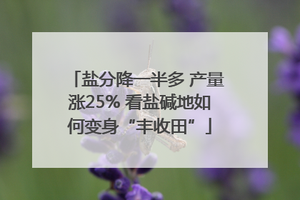 盐分降一半多 产量涨25% 看盐碱地如何变身“丰收田”