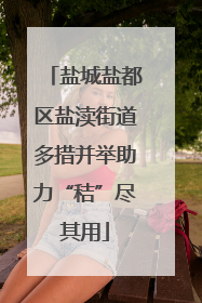 盐城盐都区盐渎街道多措并举助力“秸”尽其用