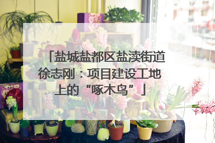 盐城盐都区盐渎街道徐志刚：项目建设工地上的“啄木鸟”