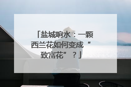 盐城响水：一颗西兰花如何变成“致富花”？
