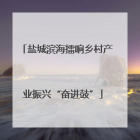 盐城滨海擂响乡村产业振兴“奋进鼓”